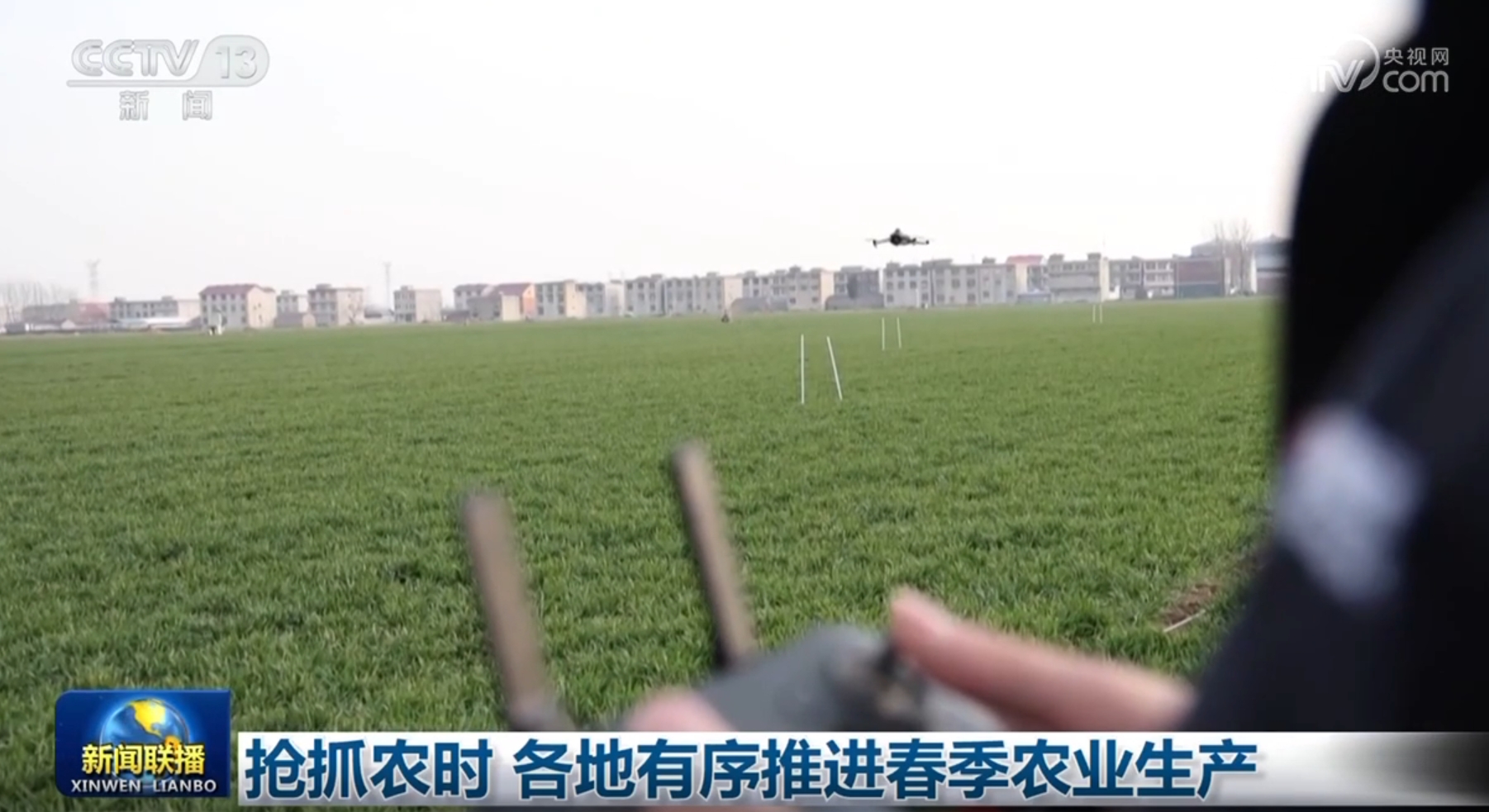 现稳健