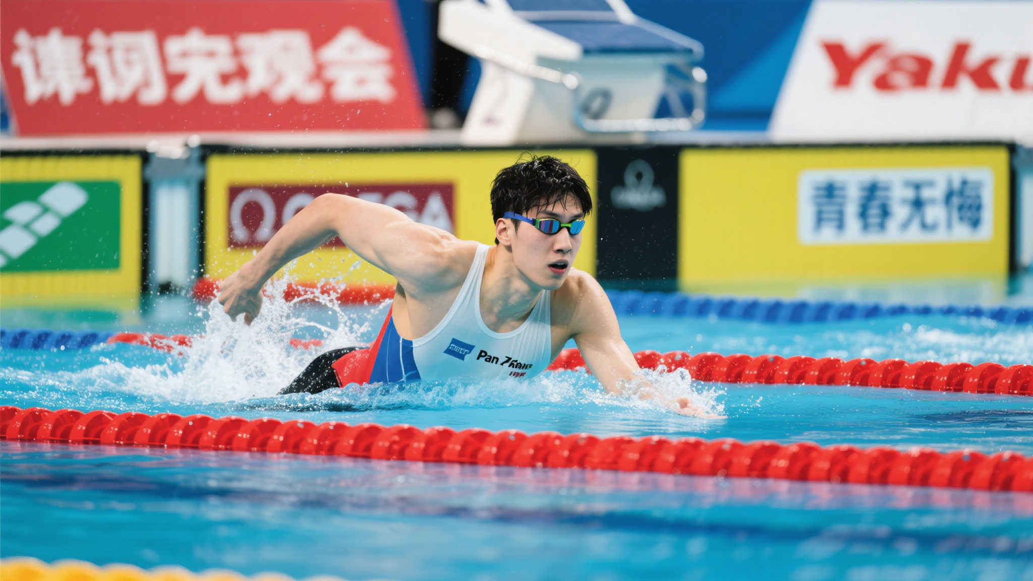 更是球迷的 更是球迷的