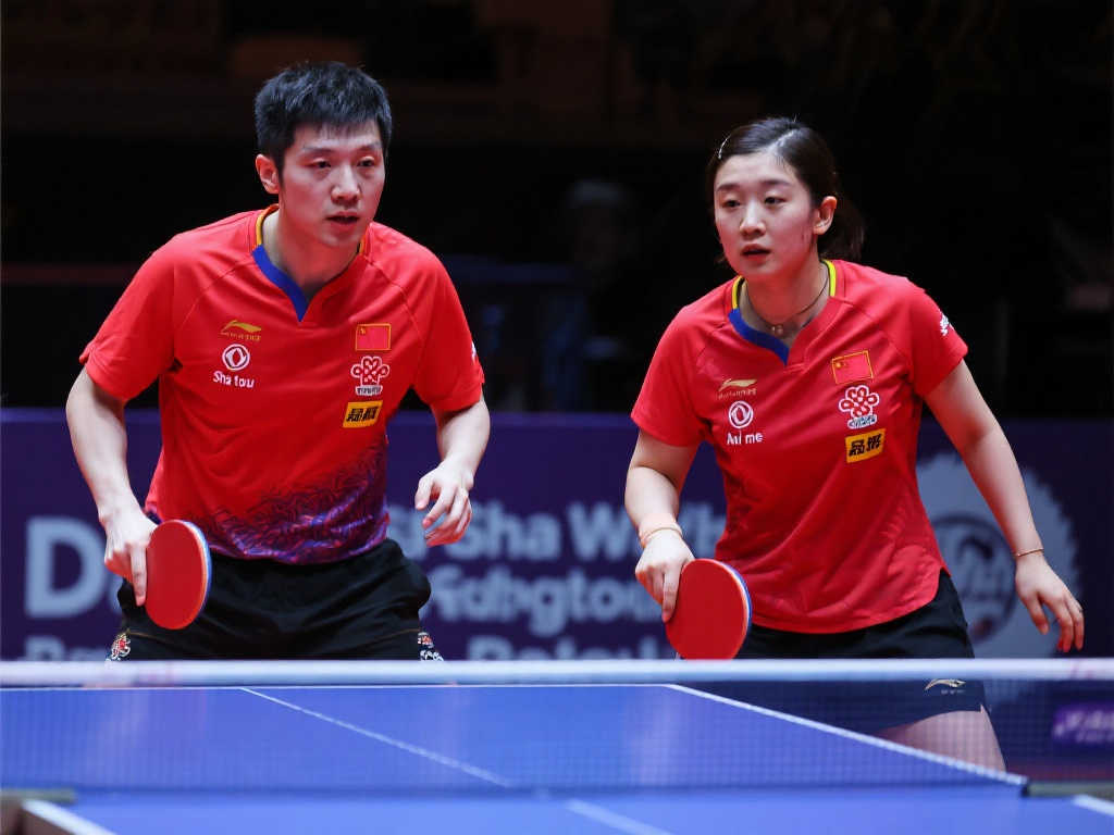 引进新星 引进新星